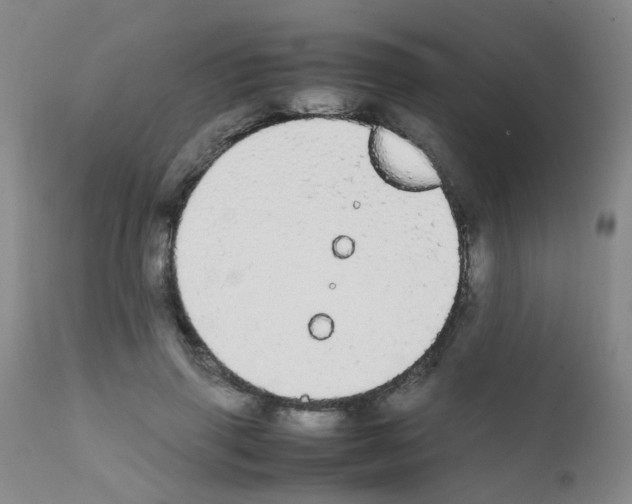 X0000111860645200909031752
