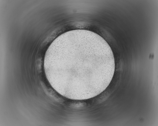 X0000111860646200909031752
