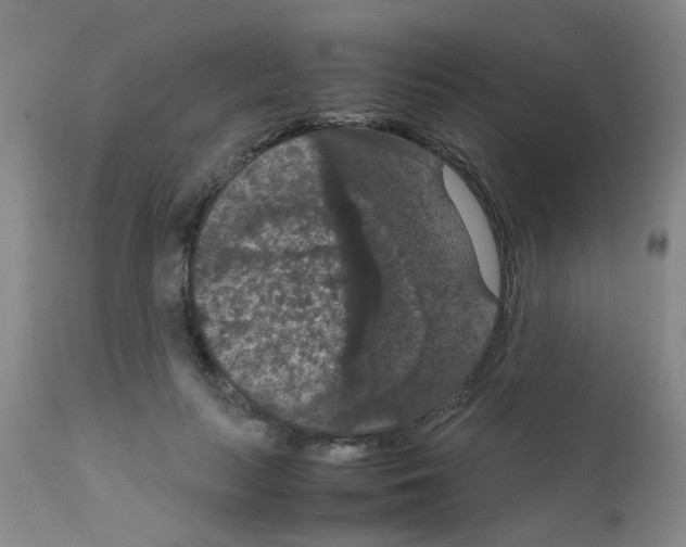 X0000111860647200909031752