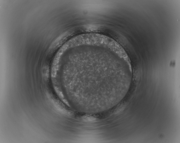 X0000111860648200909031752
