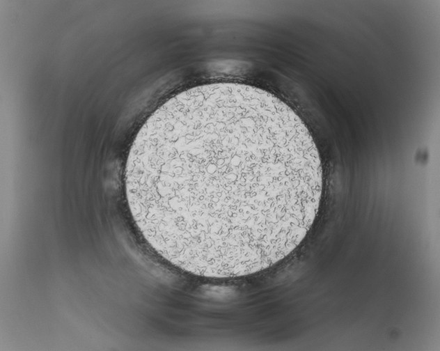 X0000111860649200909031752