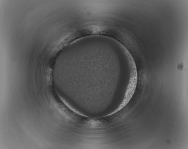 X0000111860650200909031752