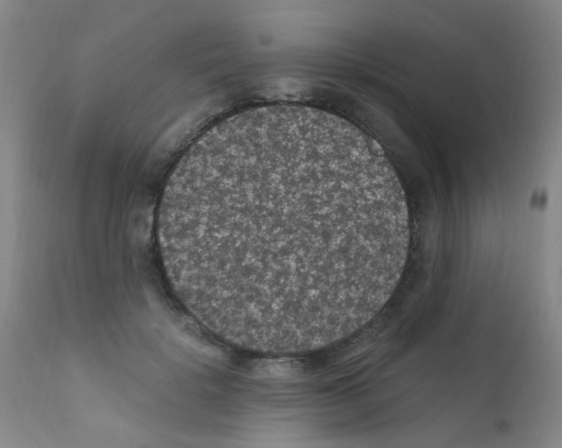 X0000111860652200909031752