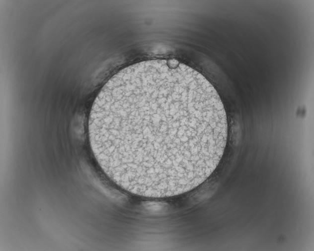 X0000111860654200909031752