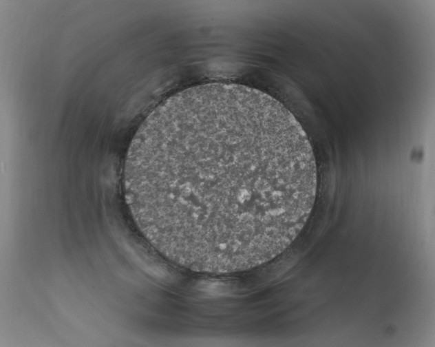 X0000111860655200909031752