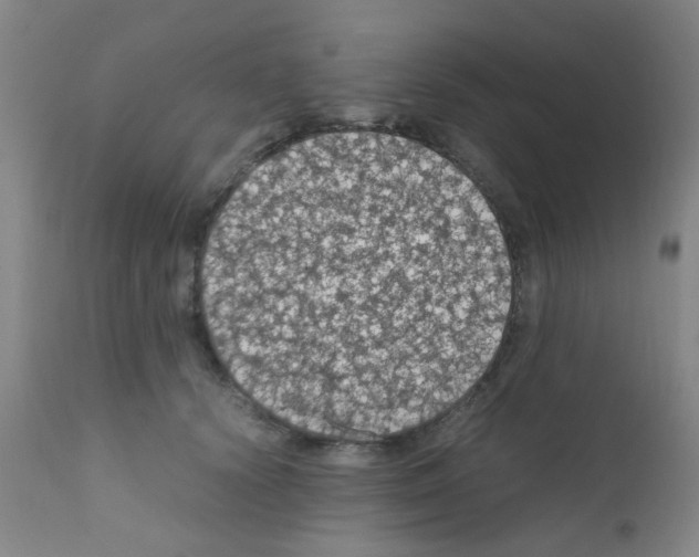 X0000111860656200909031752