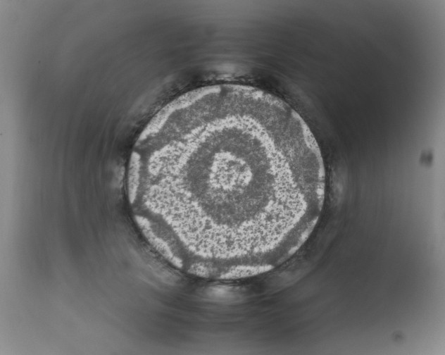 X0000111860657200909031752