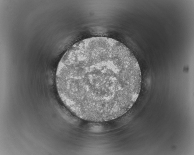 X0000111860658200909031752