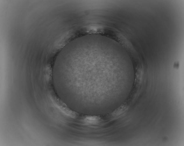 X0000111860659200909031752