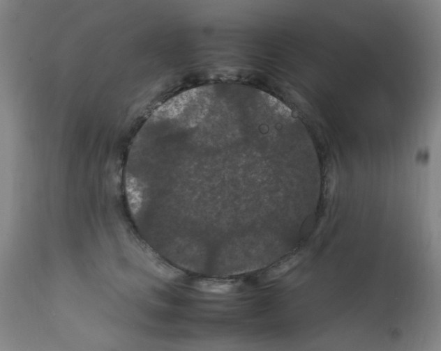 X0000111860661200909031752