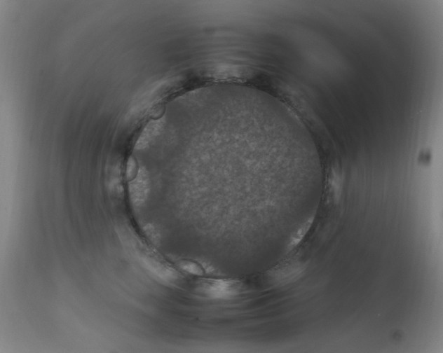 X0000111860663200909031752