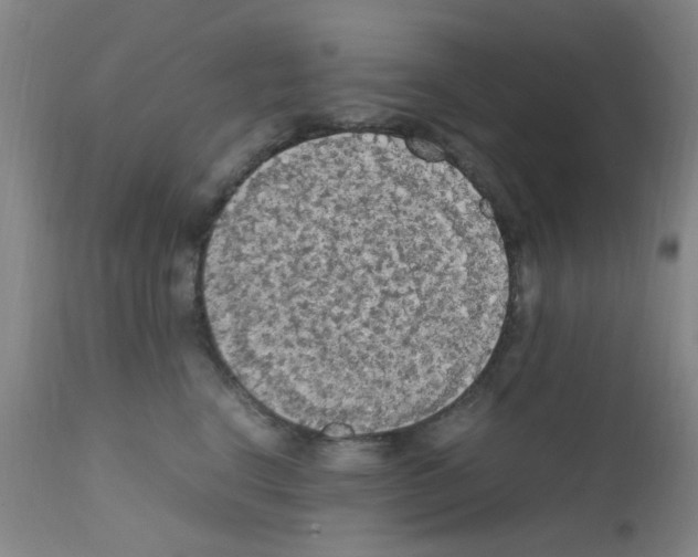 X0000111860664200909031752