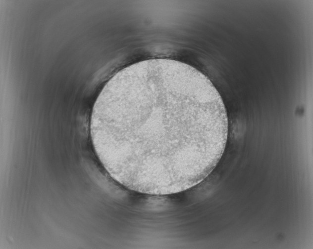 X0000111860666200909031752