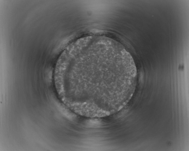 X0000111860668200909031752
