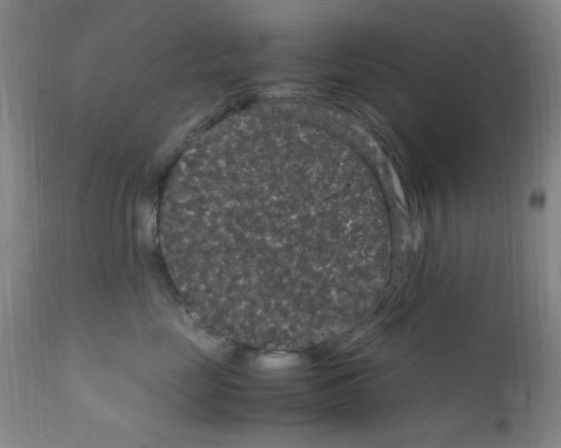 X0000111860669200909031752