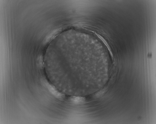 X0000111860670200909031752