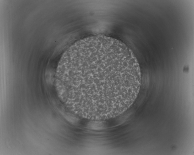 X0000111860671200909031752