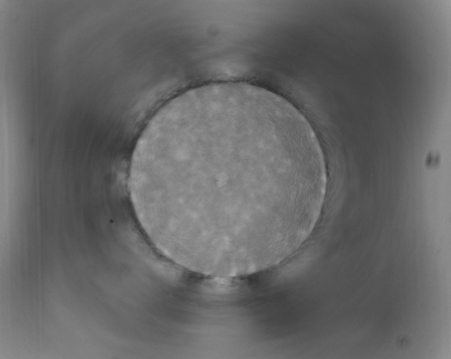 X0000111860672200909031752