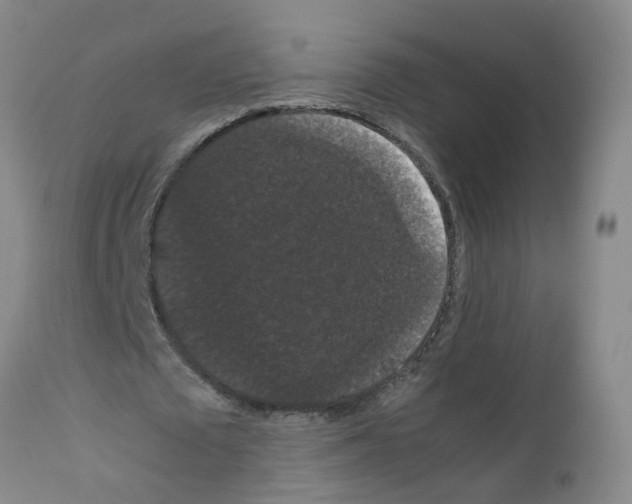 X0000111860673200909031751