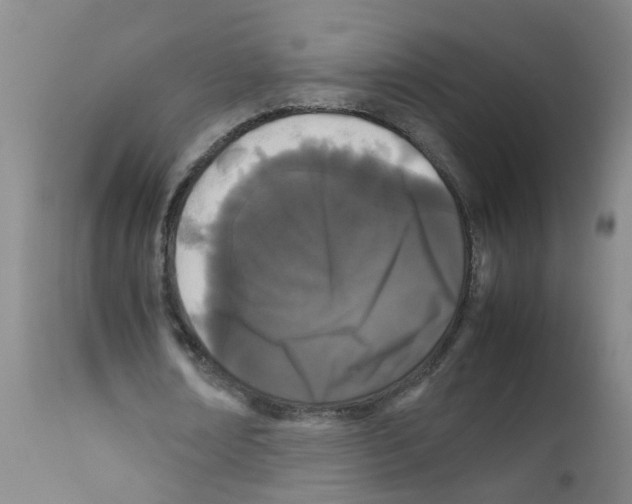 X0000111860674200909031751