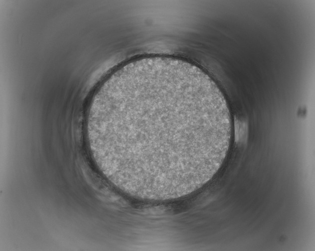 X0000111860675200909031751