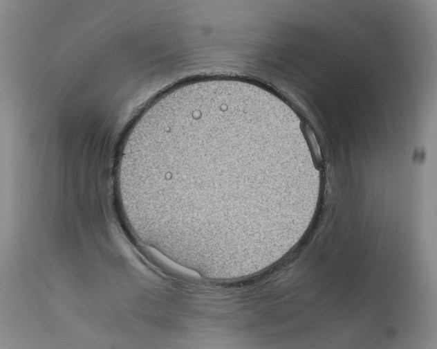 X0000111860677200909031751