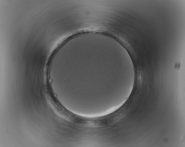 X0000111860678200909031751