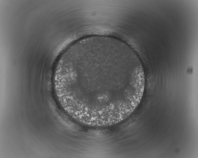X0000111860679200909031751