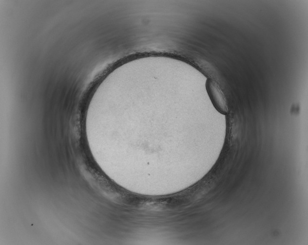 X0000111860680200909031751