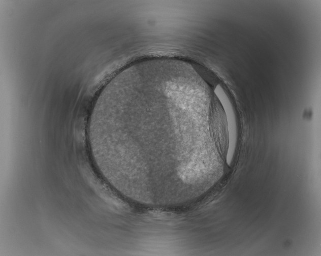 X0000111860681200909031751
