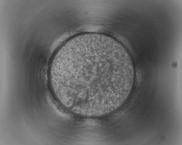 X0000111860682200909031751