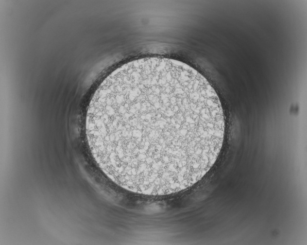 X0000111860683200909031751