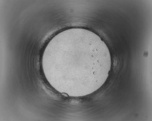 X0000111860684200909031751