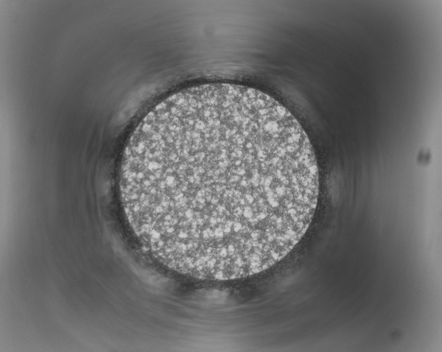 X0000111860687200909031751