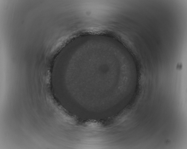 X0000111860689200909031751