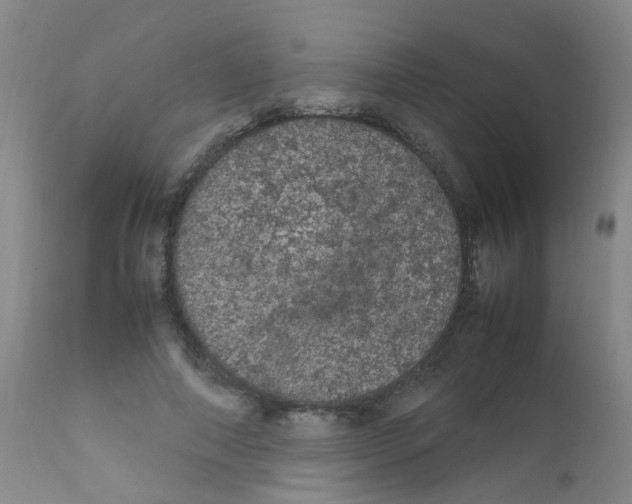X0000111860690200909031751