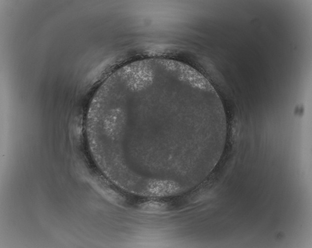 X0000111860691200909031751