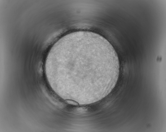 X0000111860692200909031751