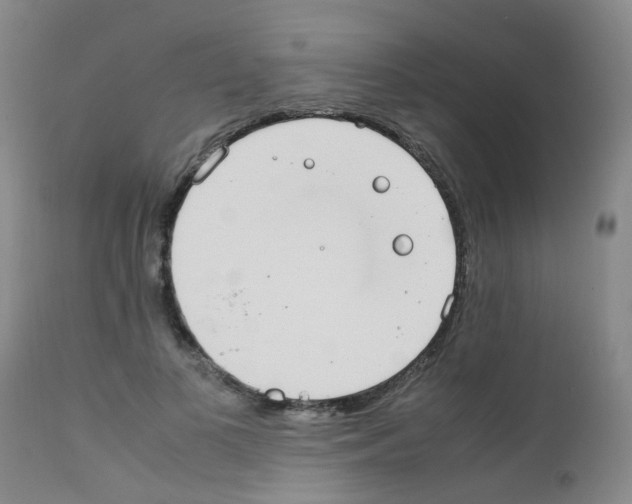 X0000111860693200909031751