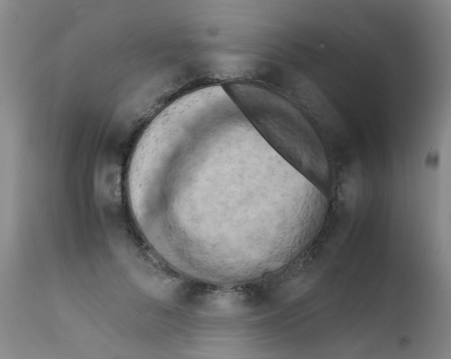 X0000111860696200909031751