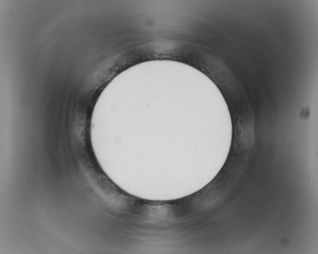 X0000111860698200909031751