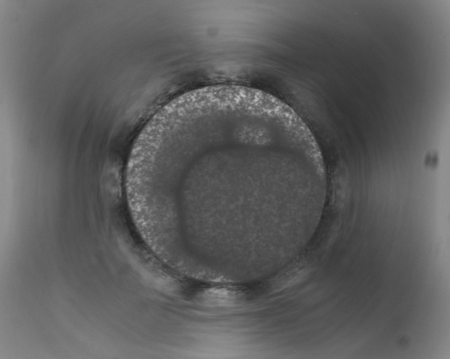 X0000111860699200909031751