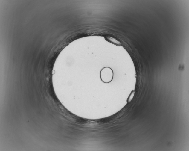 X0000111860701200909031751