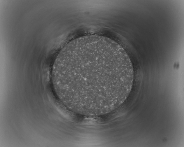 X0000111860703200909031751