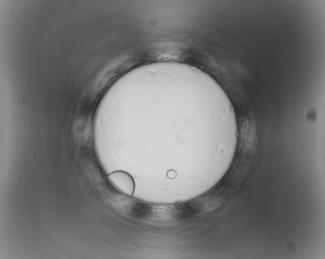 X0000111860705200909031751