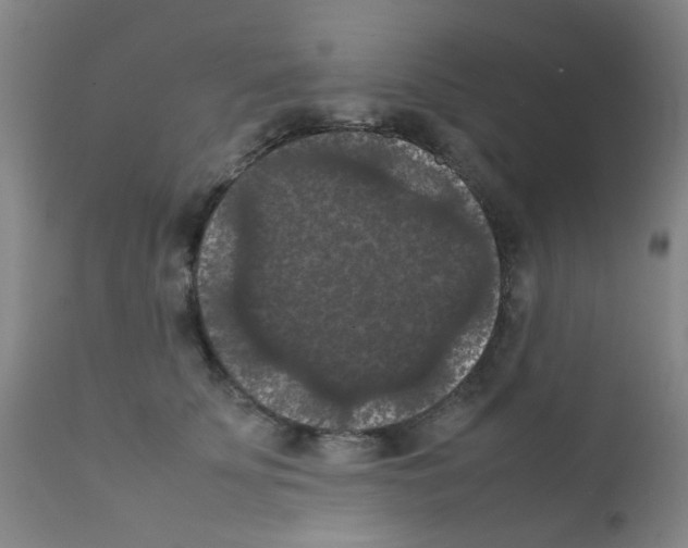 X0000111860707200909031751