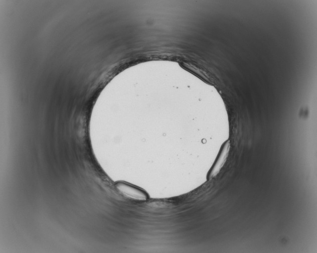 X0000111860708200909031751