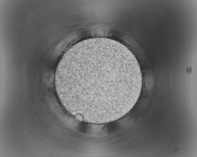 X0000111860709200909031751