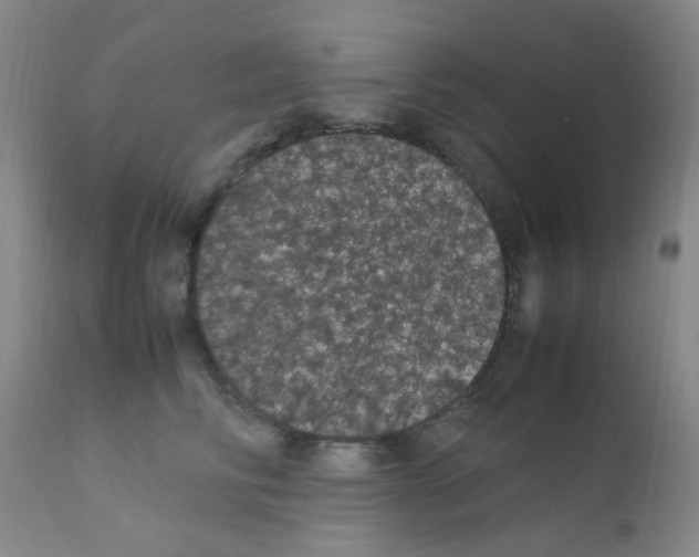 X0000111860710200909031751