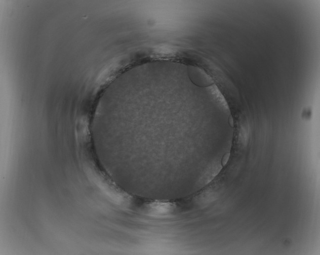 X0000111860711200909031751